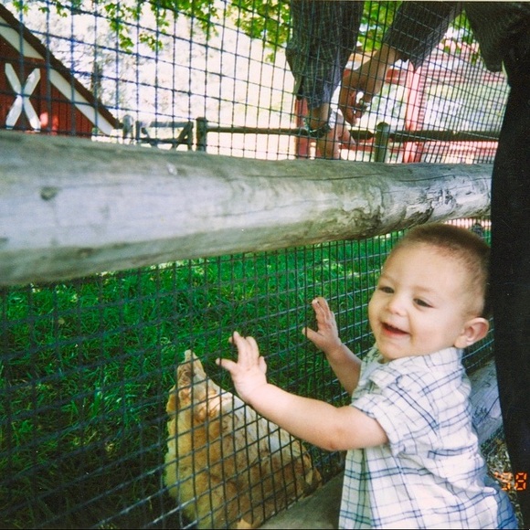 Meet your Posher, Lorenzo - Picture 5 of 12